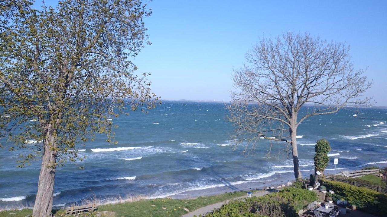Strandappartements Steinberghaff "Kegnaes" Mit Meerblick Und Sauna Steinberg  Luaran gambar